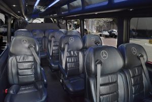 New Orleans Limousine Executive Passenger Sprinter Van Rental Service 